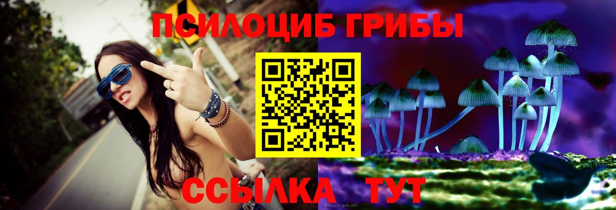 Галлюциногенные грибы GOLDEN TEACHER  Галлюциногенные грибы MAGIC MUSHROOMS  Краснознаменск  Вход с VPN 